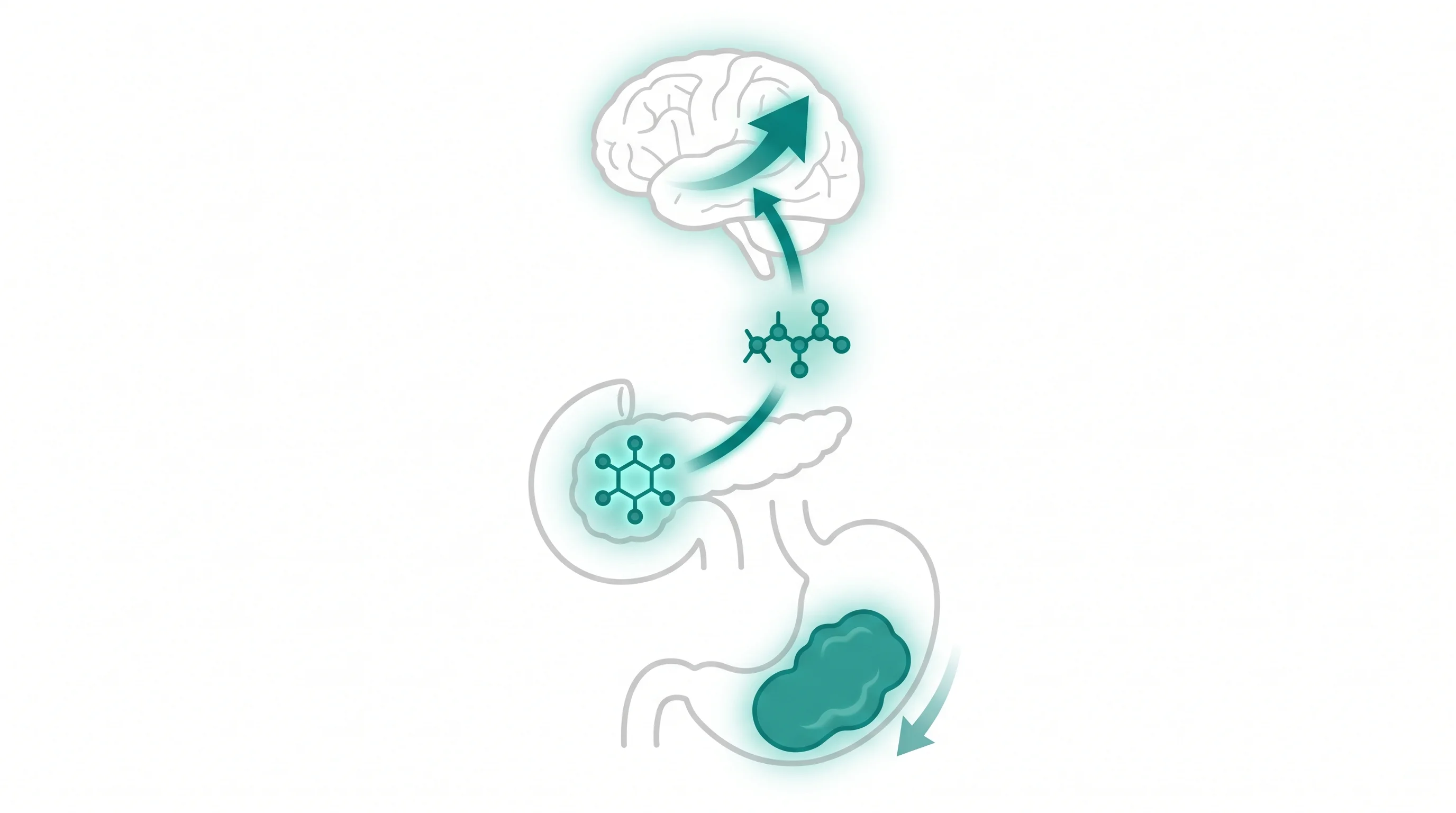Teal medical illustration showing how Mounjaro activates GIP and GLP-1 receptors on the pancreas, stomach, and brain