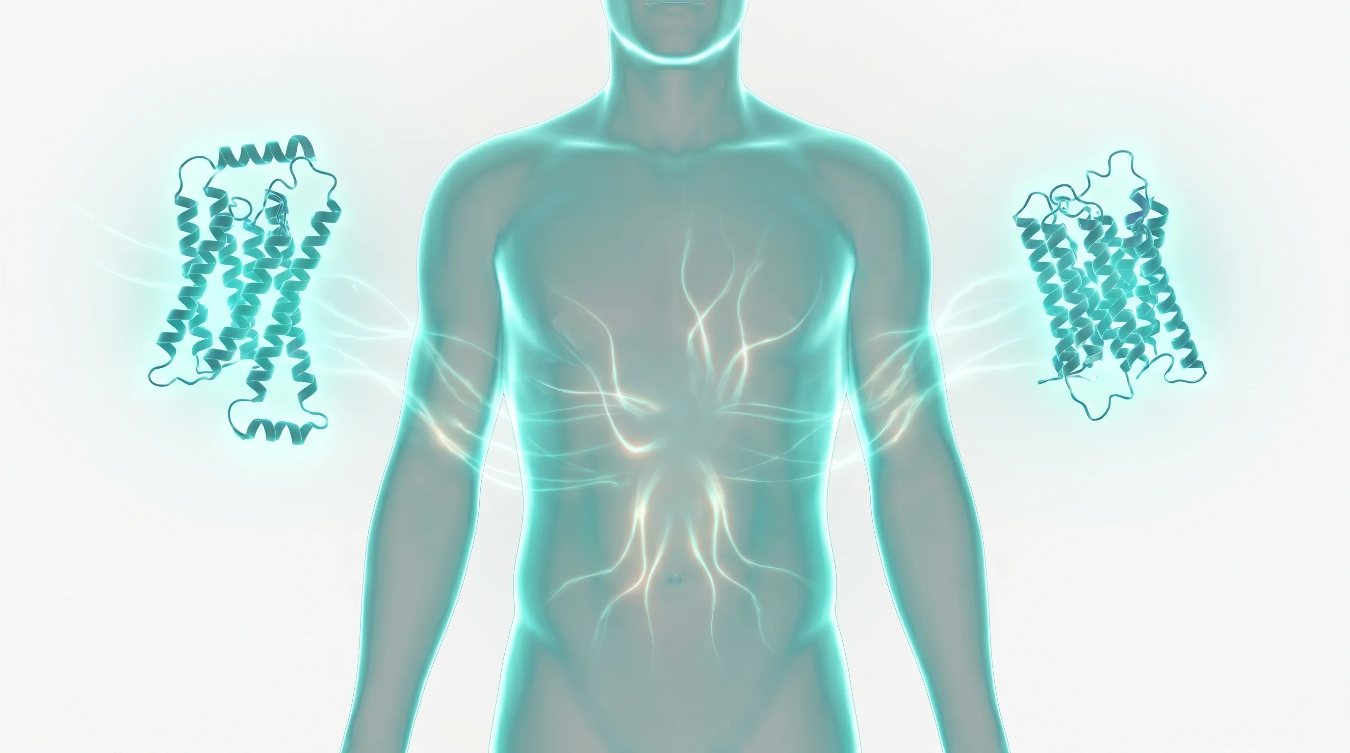 Zepbound tirzepatide dual GIP and GLP-1 receptor activation for weight loss management