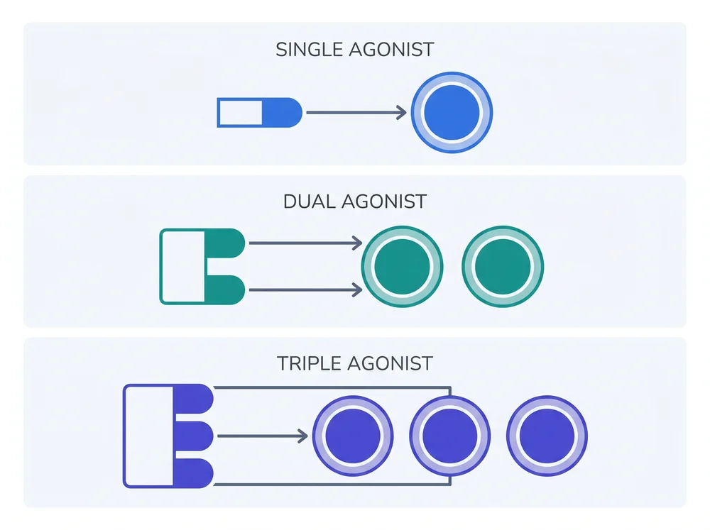 Receptor diagram showing single, dual, and triple agonist targets color-coded blue, teal, and indigo